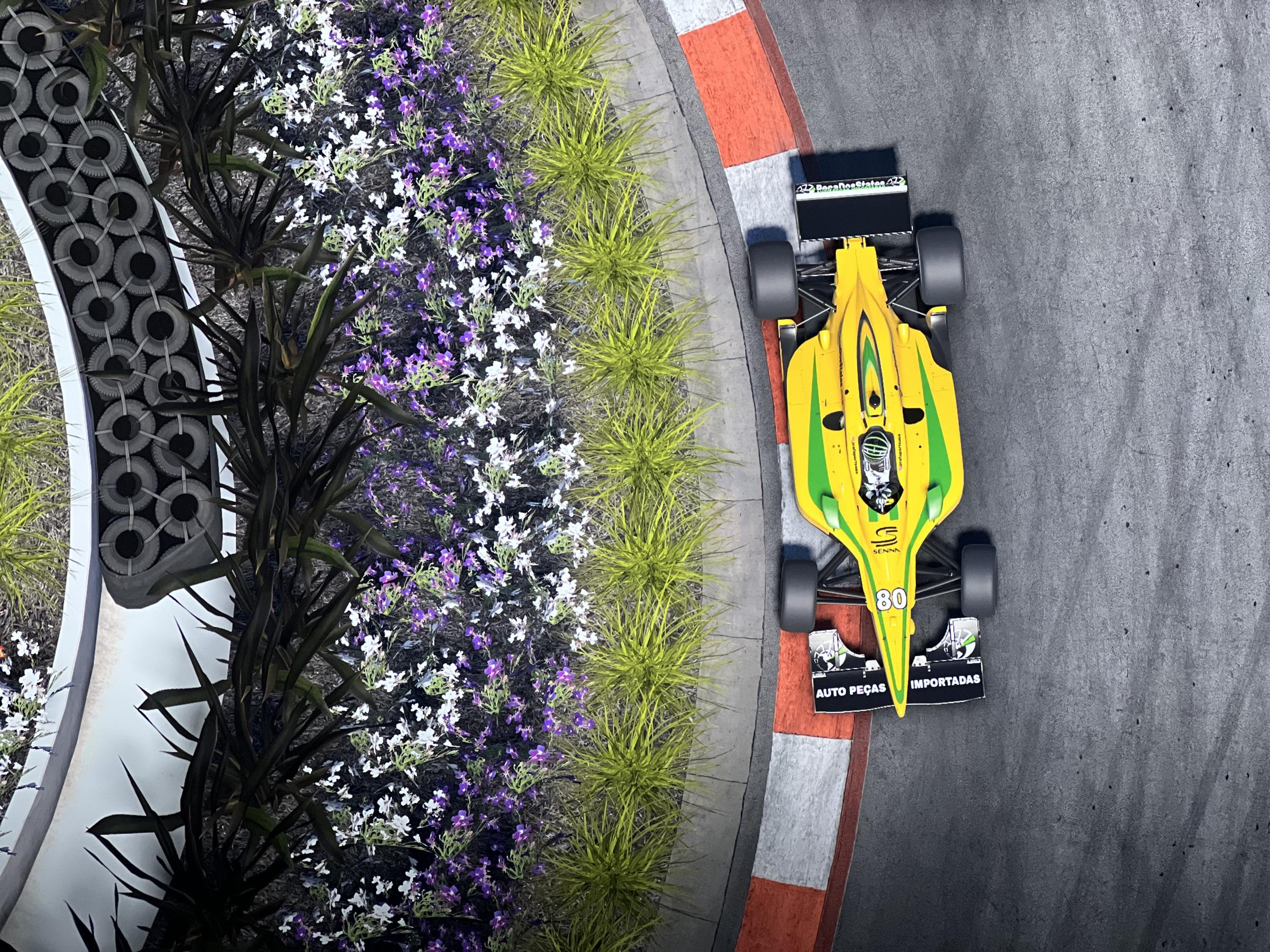 Preview of SENNA_ IRL 2005 by Rafael Rodrigues5