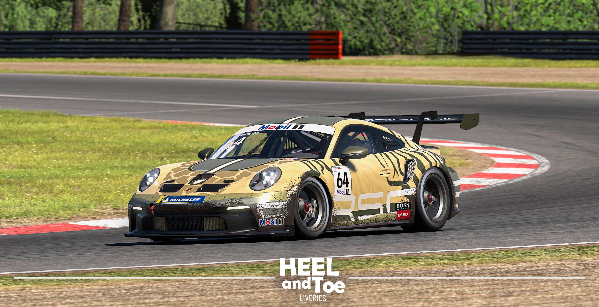 Preview of Porsche 911 GT3 Cup - Safari Edition by Jai L.