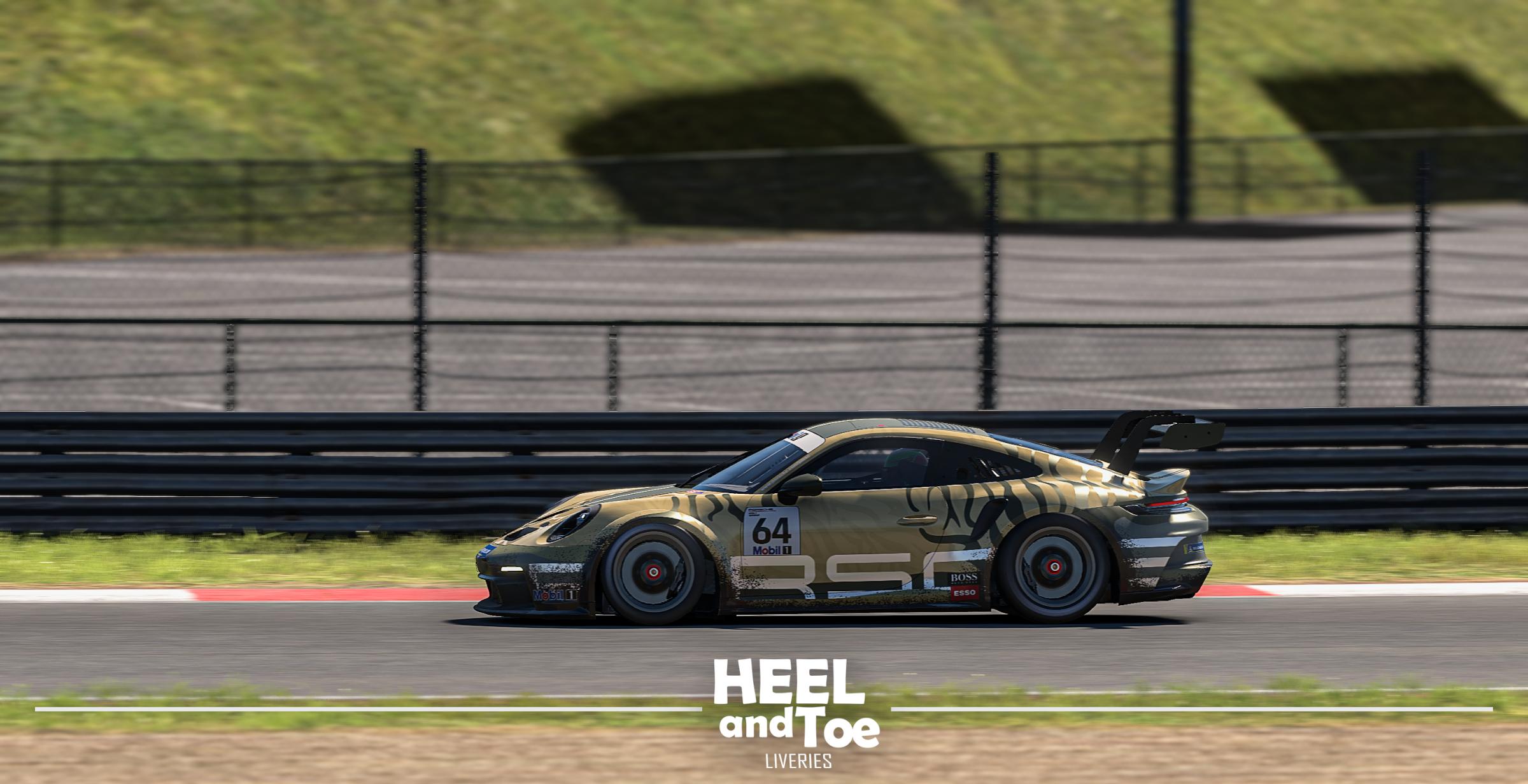 Preview of Porsche 911 GT3 Cup - Safari Edition by Jai L.