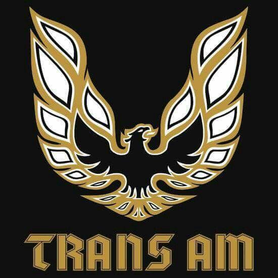 Preview of Trans Am Bandit Edition by Shannon Spears