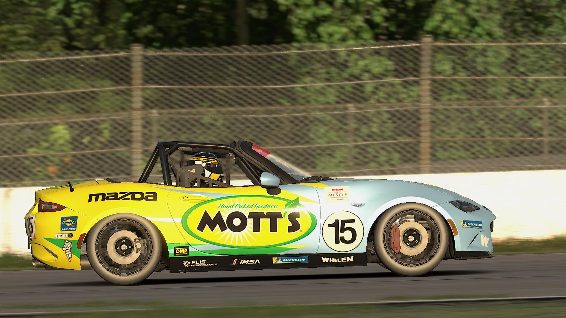 Preview of Sally Mott Racing by Mikey Harland