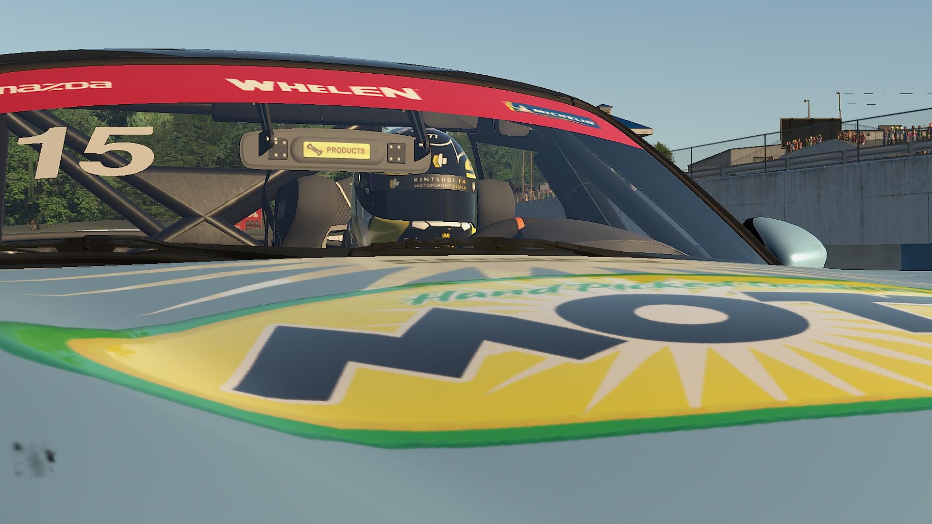 Preview of Sally Mott Racing by Mikey Harland