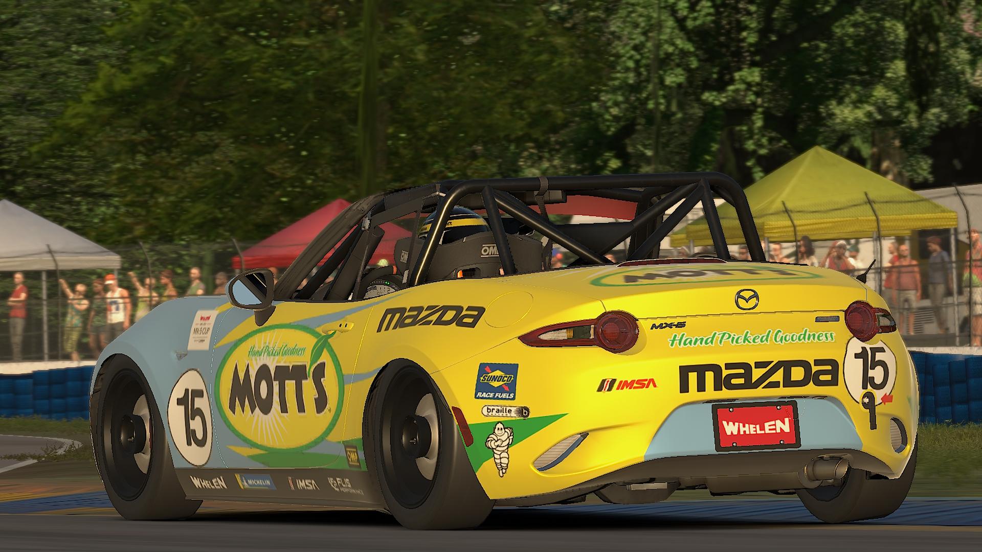 Preview of Sally Mott Racing by Mikey Harland