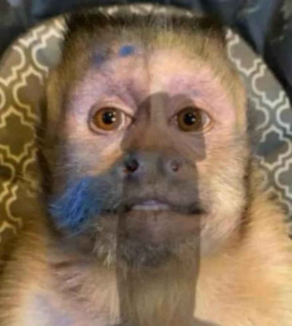 Preview of Dirt Late Model   Vector Smart Template v2 by Cricket Hill2