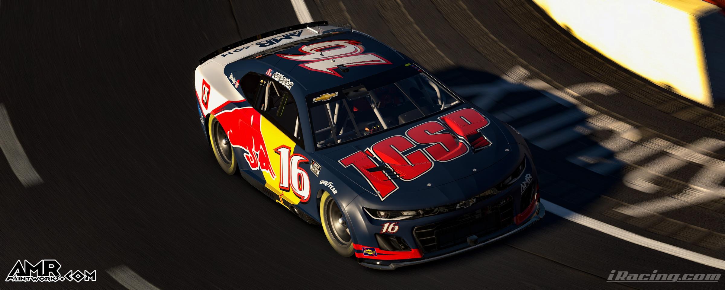 Preview of TCSP by Amr S.