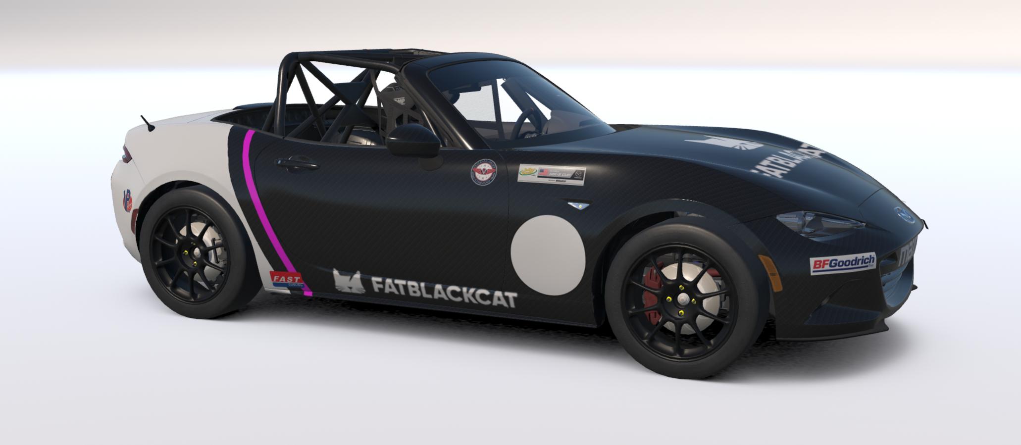 Preview of FatBlackCat Pedals by Anthony Handley