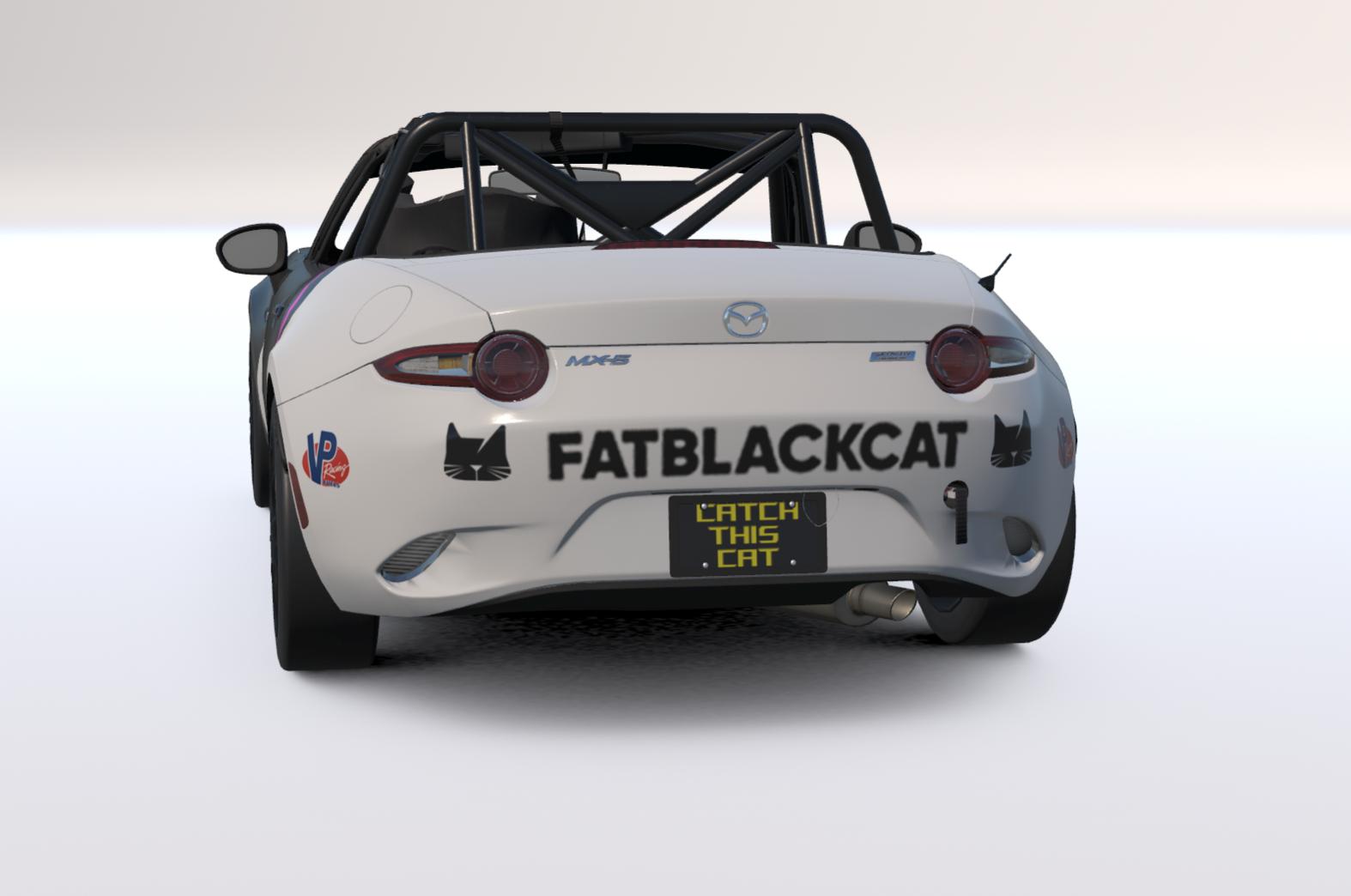 Preview of FatBlackCat Pedals by Anthony Handley