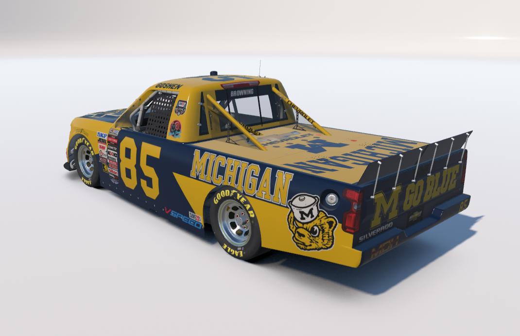 Preview of michigantp by Mike Browning