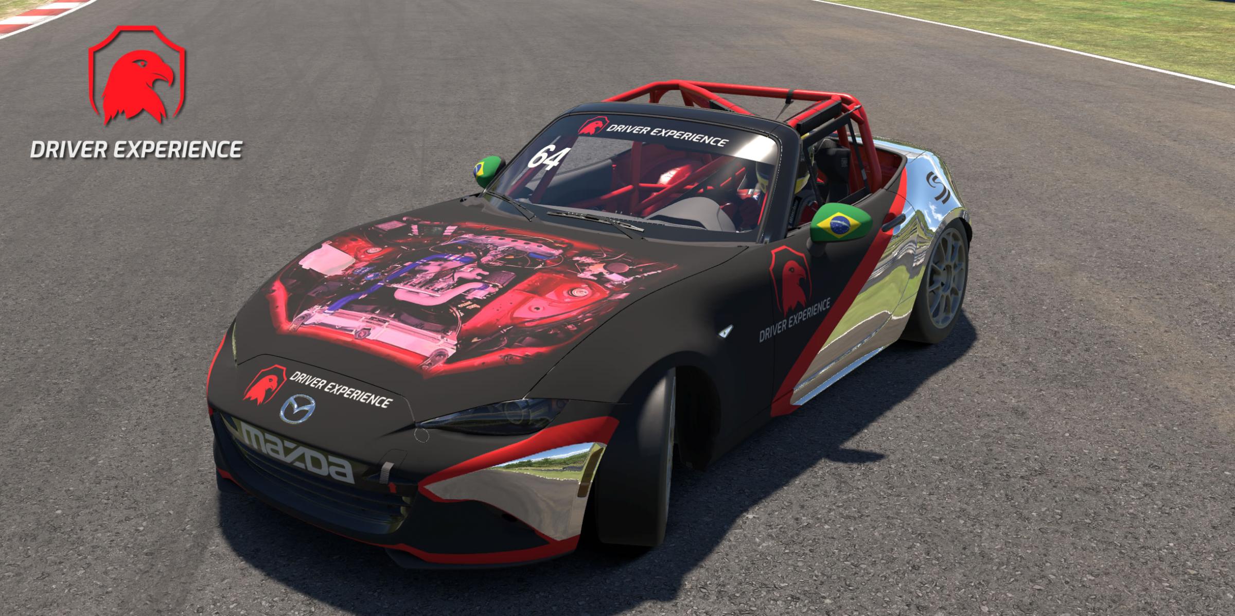 Preview of Driver Experience twitch.tv youtube by Gil B.