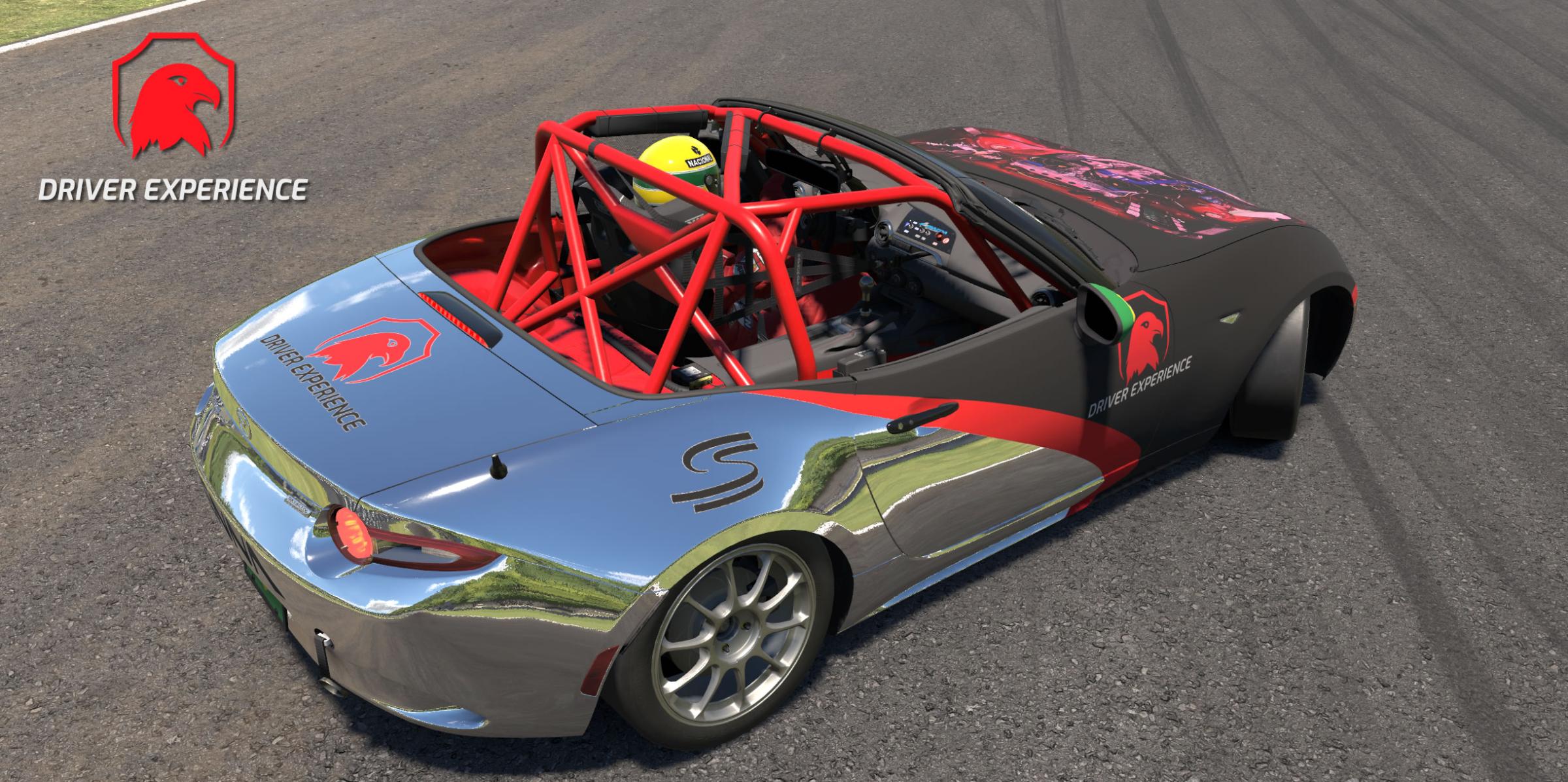 Preview of Driver Experience twitch.tv youtube by Gil B.