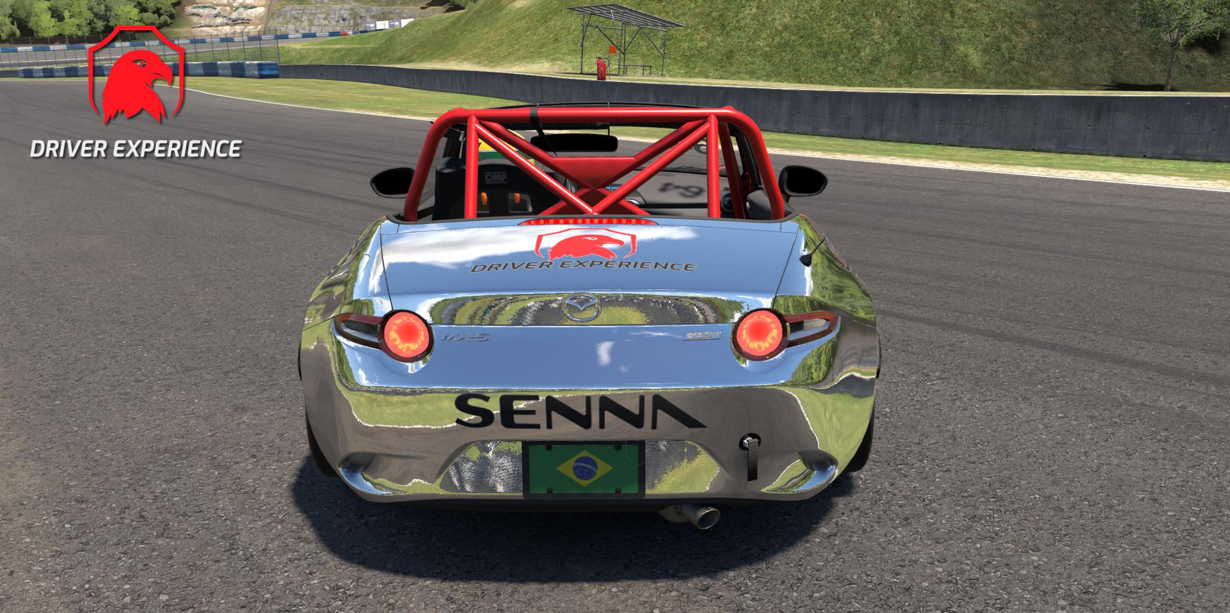 Preview of Driver Experience twitch.tv youtube by Gil B.