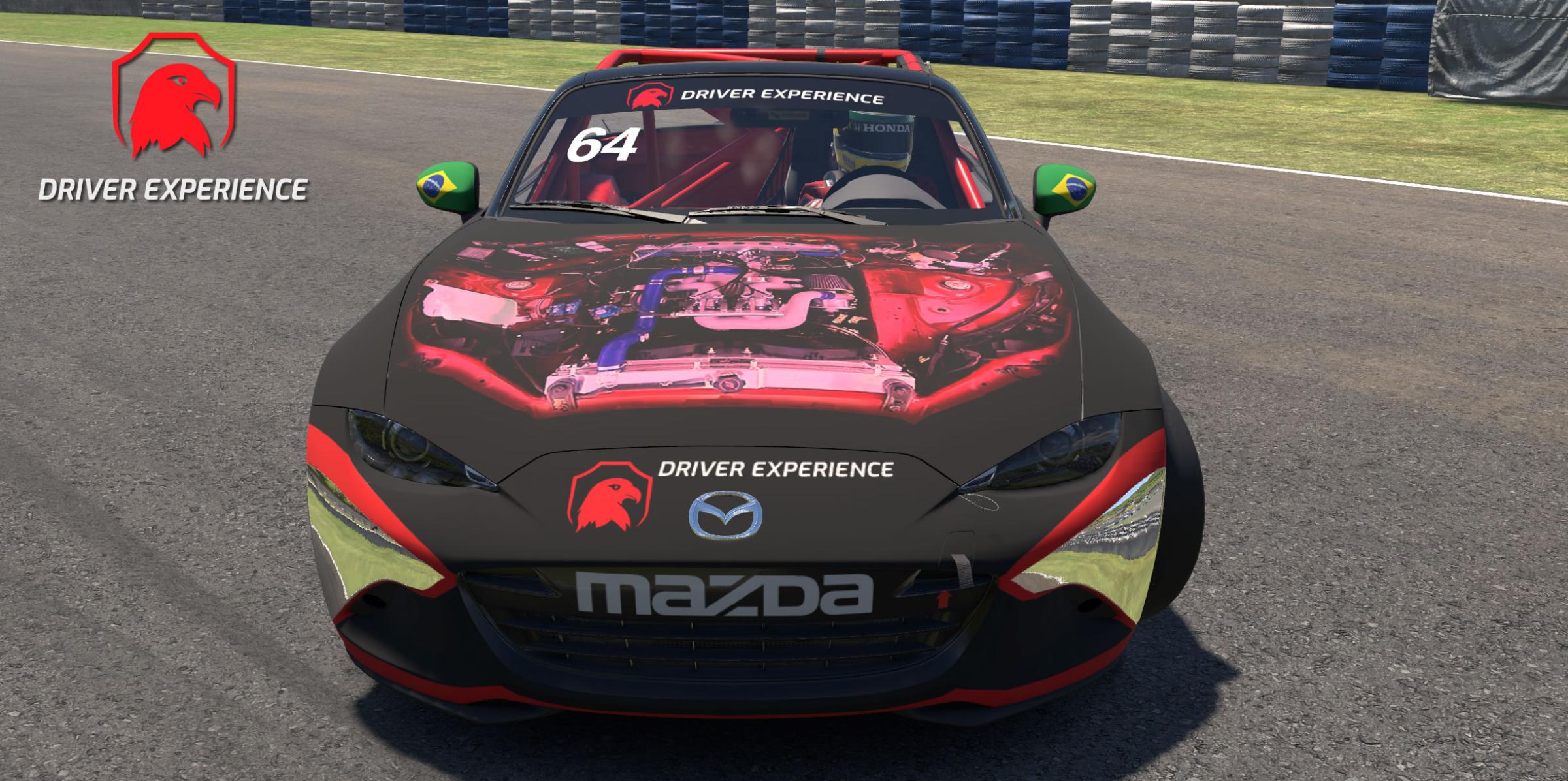 Preview of Driver Experience twitch.tv youtube by Gil B.