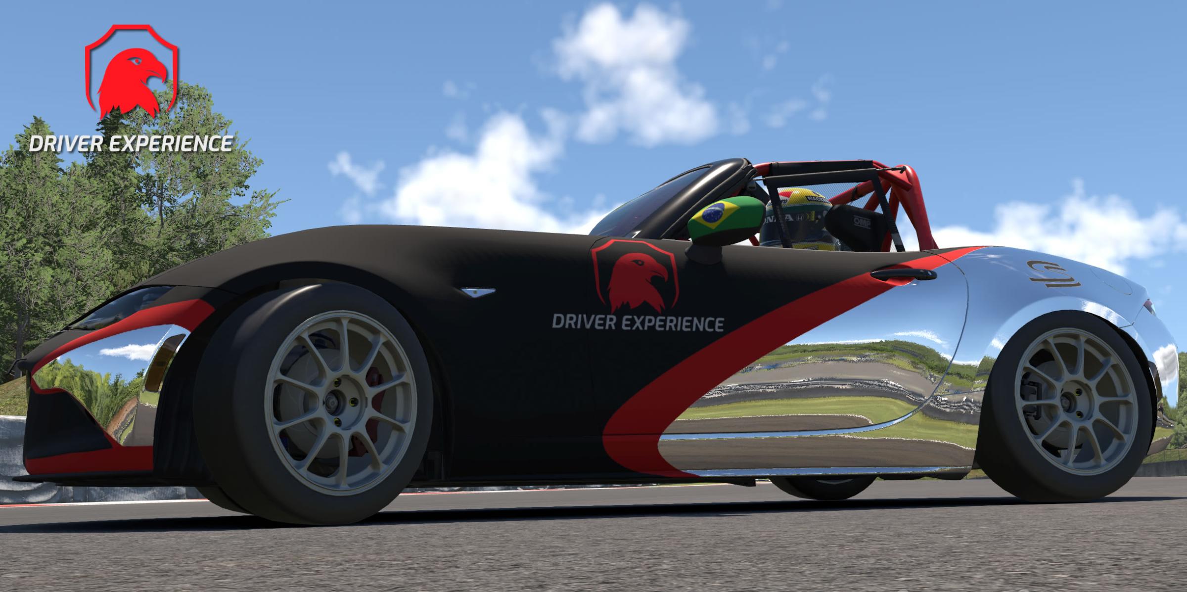 Preview of Driver Experience twitch.tv youtube by Gil B.