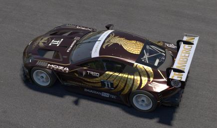 Aston Martin Vantage EVO GT3 - Grimbergen Golden Phoenix