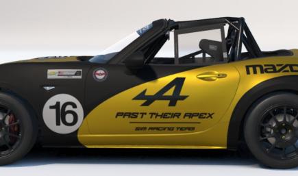 Past Their Apex Sim Racing Team Livery in Black and Yellow with Black Decals
