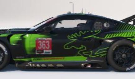 Ford Mustang GT3 Moostang