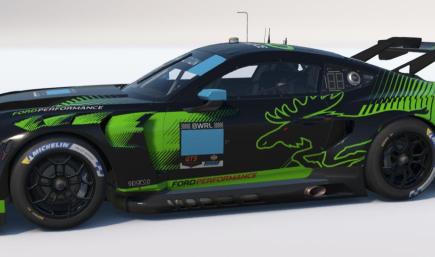 Ford Mustang GT3 Moostang BWEC