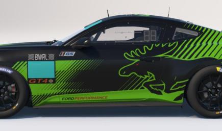 Ford Mustang GT4 Moostang BWFS