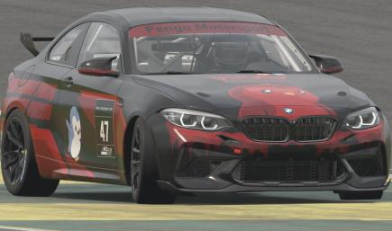 Pudgy Penguin BMW M2 CS black edition