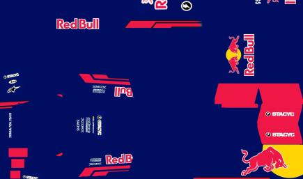 Red Bull 2025