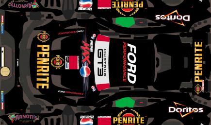 Ford Mustang GT3 penrite