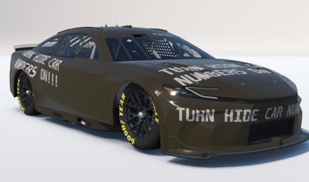 Turn Hide Custom Numbers On Advocacy in Pantone (Worlds Ugliest Color)