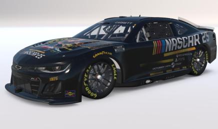 Nascar 25 Gold Edition 