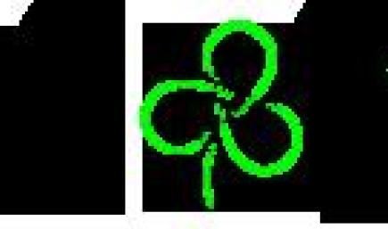 NASCAR Class C   117   Ford