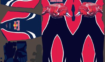 Driver Suit toro rosso 2