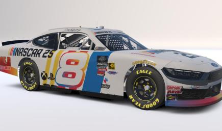 Dale Jr. NASCAR 25 Fantasy Scheme