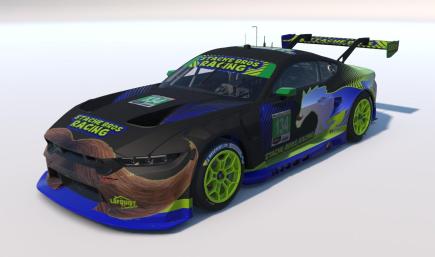 IMSA GTD Stache Bros Racing Ford Mustang GT3