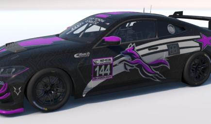 BMW M4 EVO GT4 WPS newStyle pink