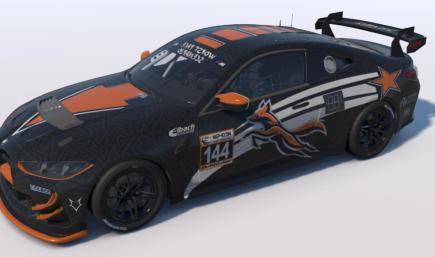 BMW M4 EVO GT4 WPS newStyle orange