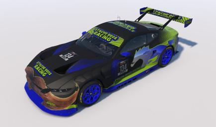 Suzuka 1000 km Stache Bros Racing Ford Mustang GT3