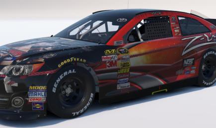 Kyle Busch Smackdown Vs Raw 2010 NO NUMBER