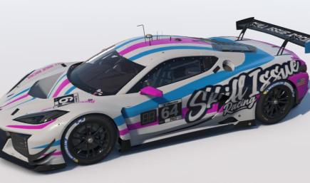Skill Issue Racing Team Livery
