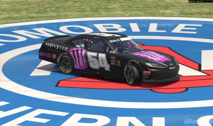 Kyle Busch Monster Energy Pink