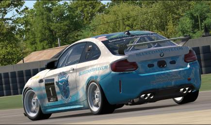 BLUE COAST DIVE SERVICES M2