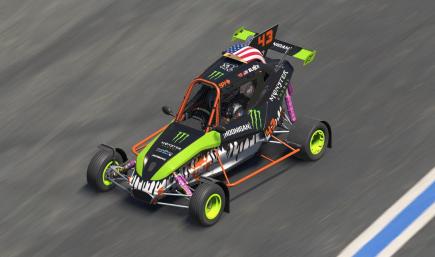 Ken Block - Monster Energy