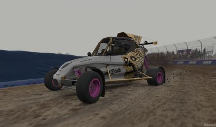 Liquid Death Mountain Water | FIA Cross Car