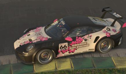 Savage Sim Racing - Porsche Cup 992.2 = Sakura
