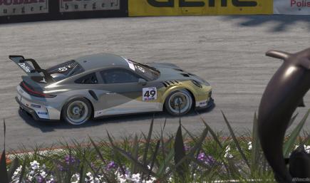 Long Beaked Common Dolphin (992.2)