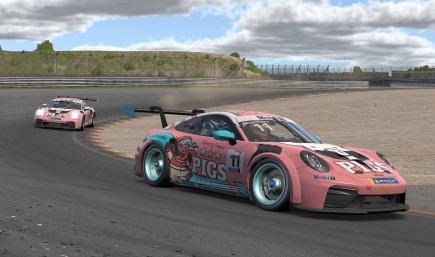 Pig Cup 992.2