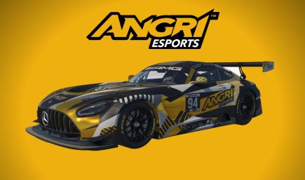 ANGRi Esports - Daytona 24 Hour - Race Livery
