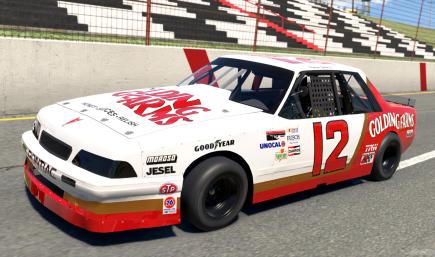 1988 #12 Karen Schulz Golding Farms Pontiac Sunbird