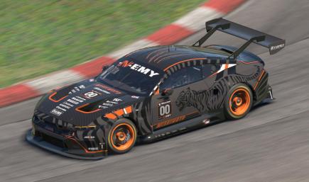 Ford Mustang Shadow Tiger-N-EMY GT3