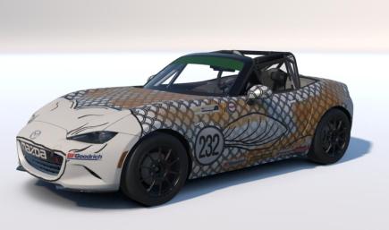 Koi Car