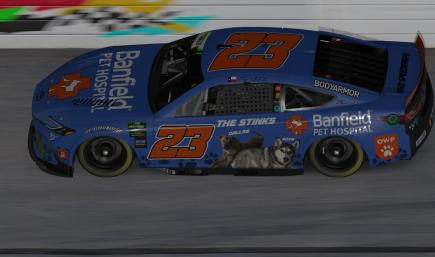 Trey Whitehead #23- Banfield Pet Hospital