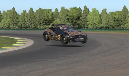 Fast Fashion - Leopard 