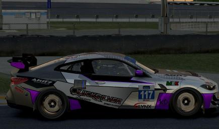 BMW M4 GT4 LUIS ORTEGA